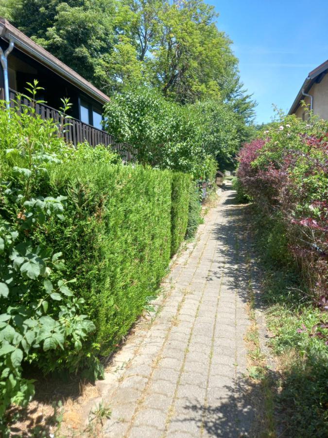 Le Loutin Appartement Saint-Bonnet-en-Champsaur